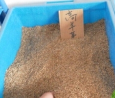 糊料的存放注意事項(xiàng)